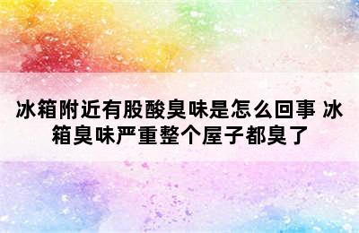 冰箱附近有股酸臭味是怎么回事 冰箱臭味严重整个屋子都臭了